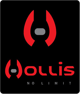 Hollis logo